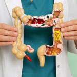 Finden Sie heraus, wie Ihr Stoffwechsel funktioniert, und passen Sie Ihre Ernährung an